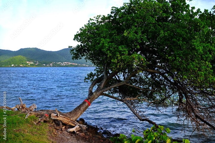 f1a8374ec0c570d0136e.jpg
