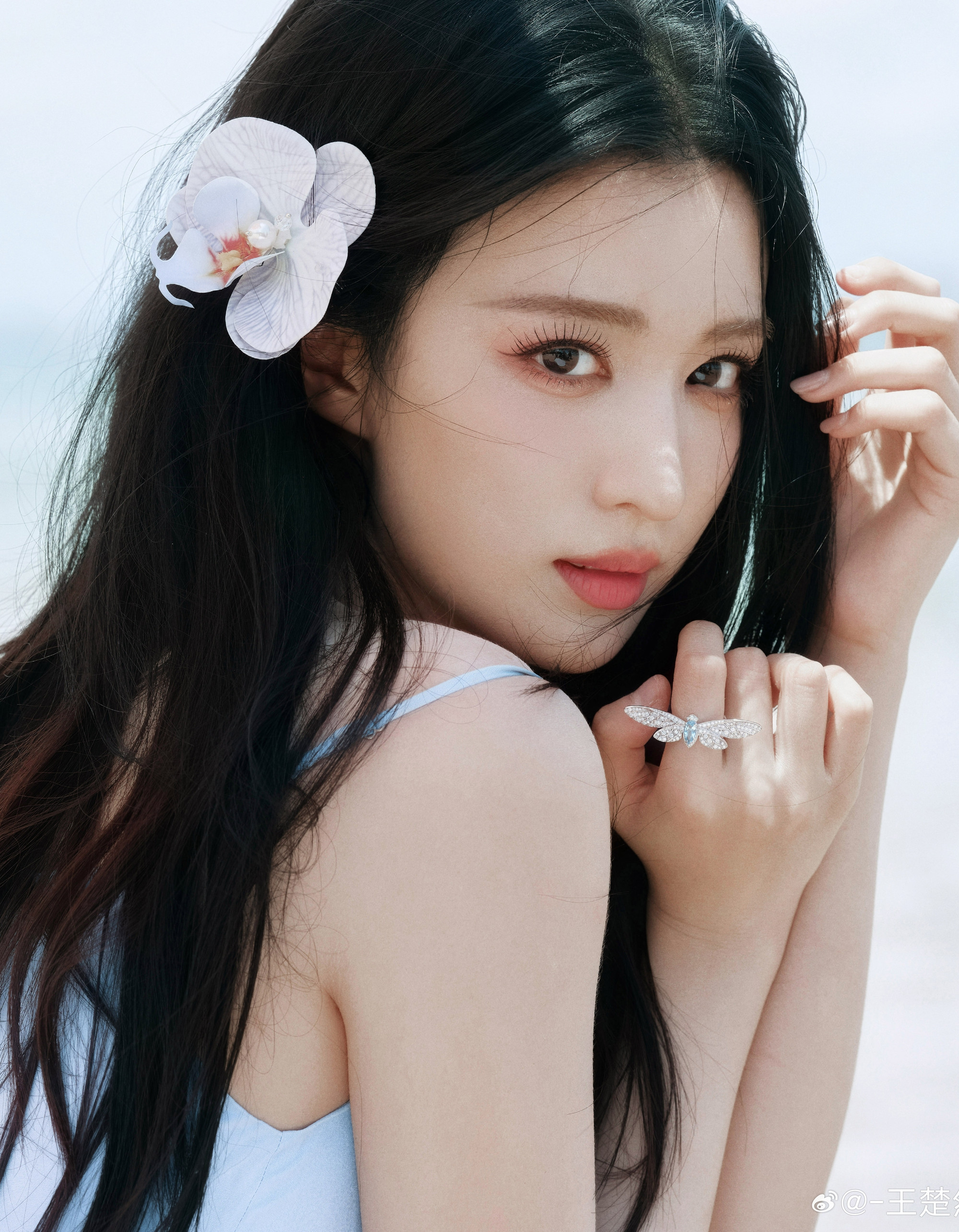 f1bb079bae61c6c23be8.jpg