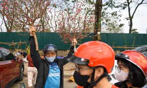 f1bc65e94734ec6a3ae2.jpg
