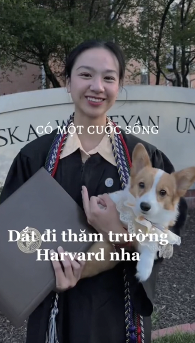 f1cc6e1595933dcace5c.png