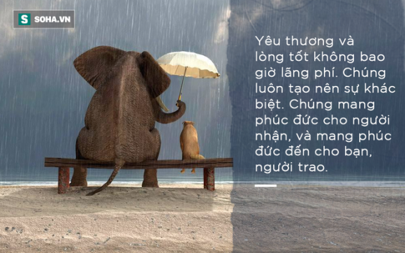 f1cd458f7a723e7c7200.png