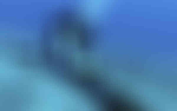f208500a792eb25c3ee7.jpg