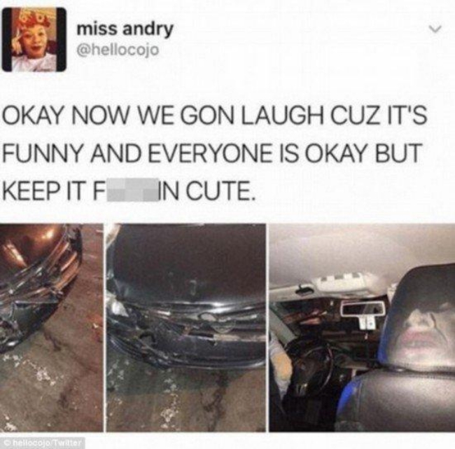 f21f33ff1f73c5f4e796.jpg