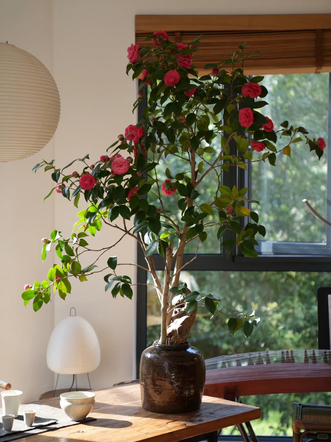 f237051394d5b6ad4ba9.jpg