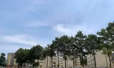 f23aad0695d2955a7cee.jpg