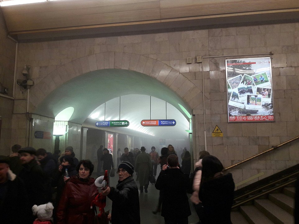 f25b8fd776e71c73d1ea.jpg
