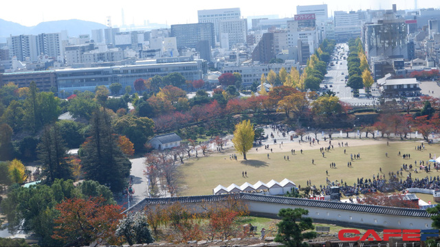f276ab06deb4d545bcb8.png