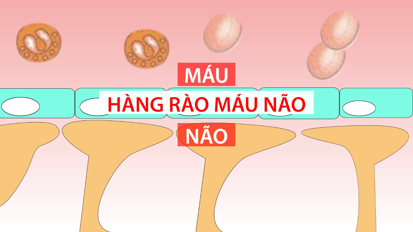 f28a1144d9b6a18bc228.png