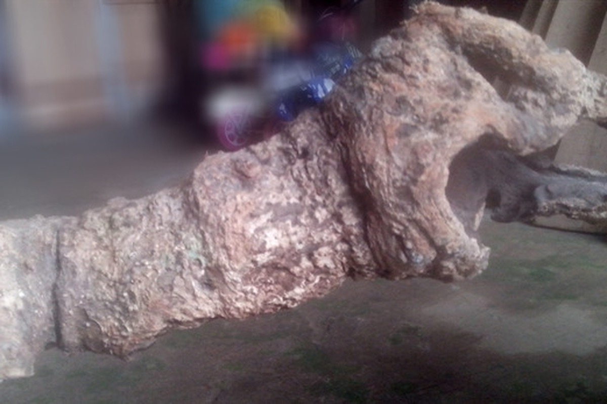 f2cb06652173a3df6835.jpg