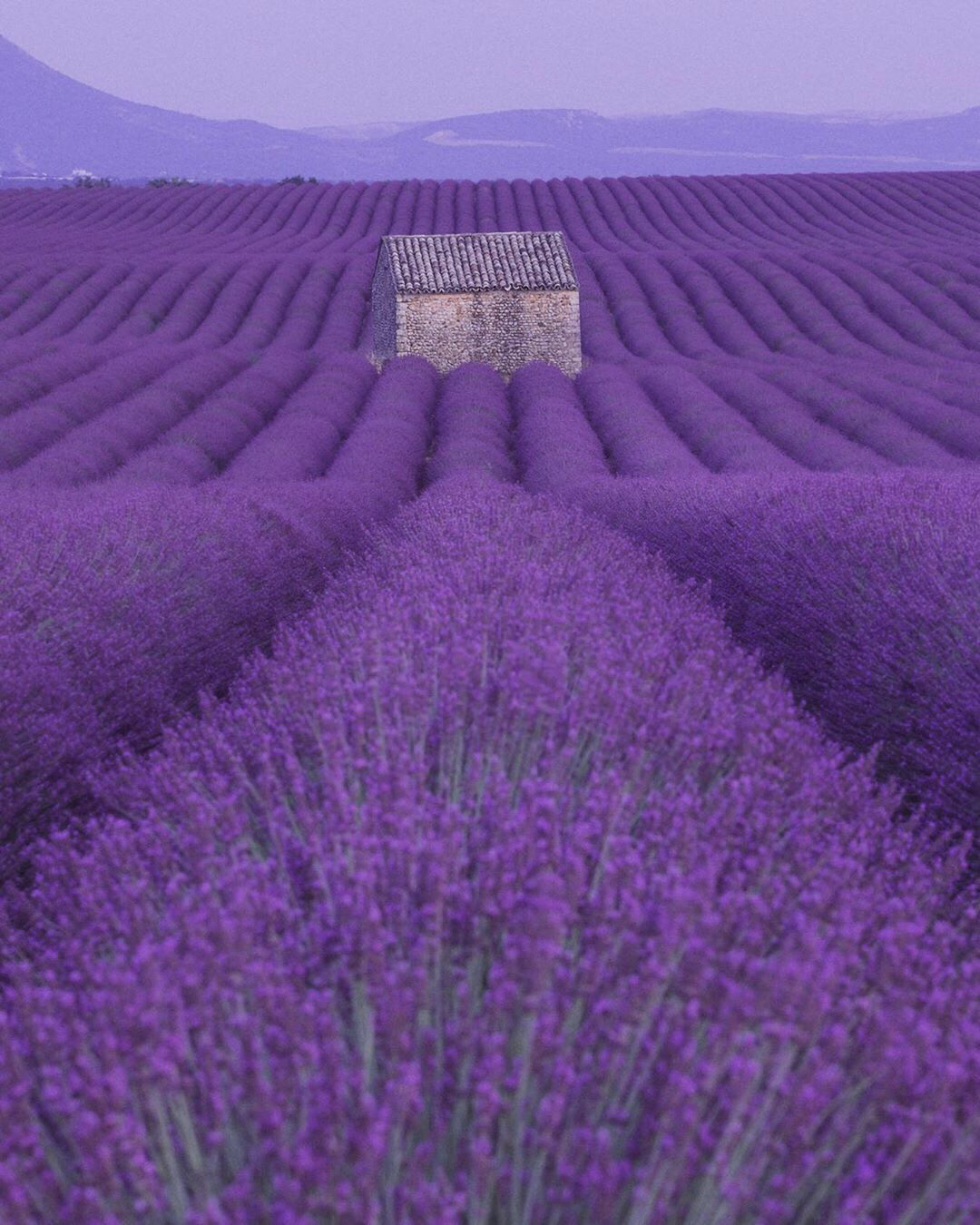 f2cdff1f9c422bf6d23a.jpg