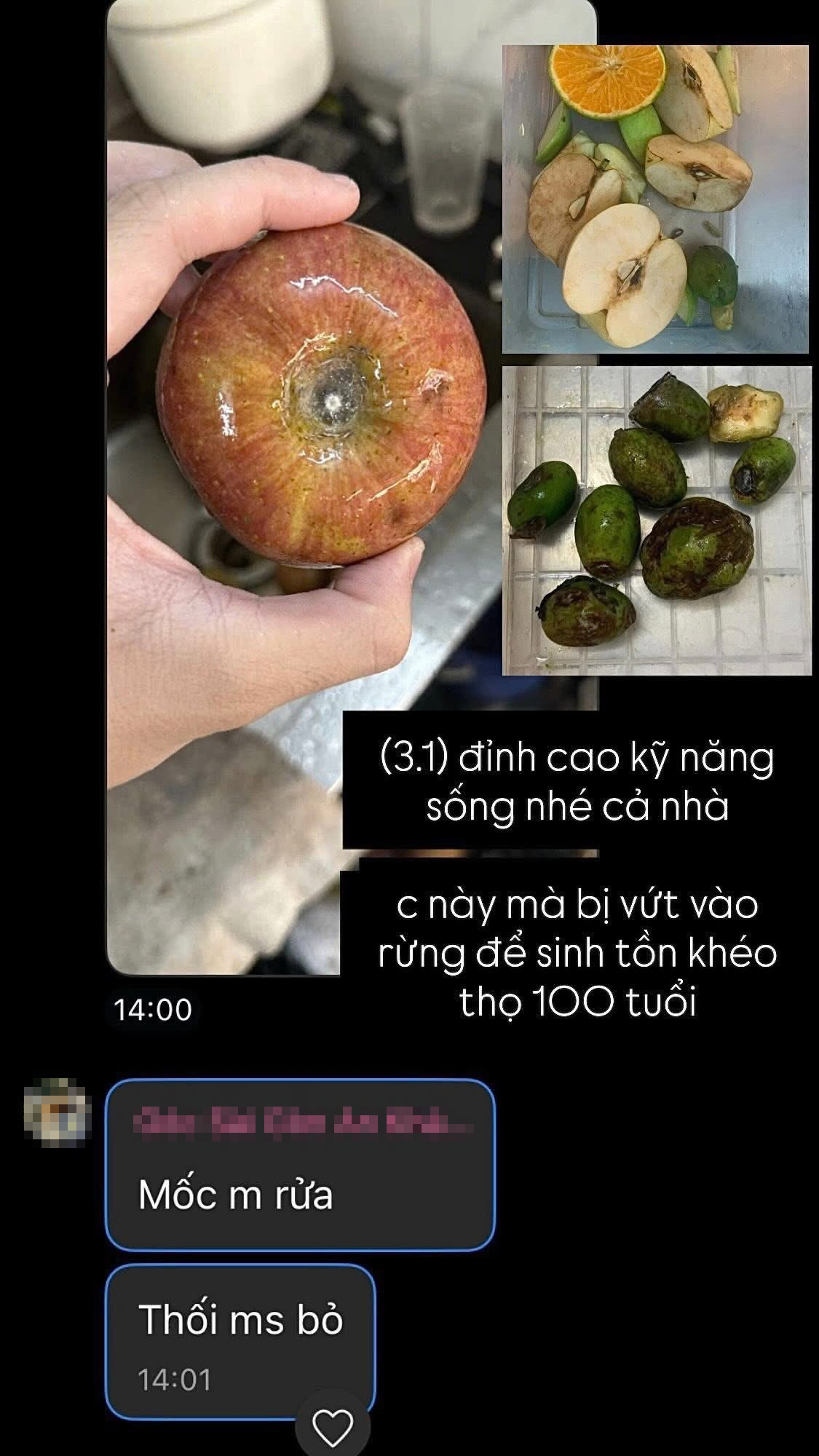 f2d3c2da391a06e2d2a1.jpg