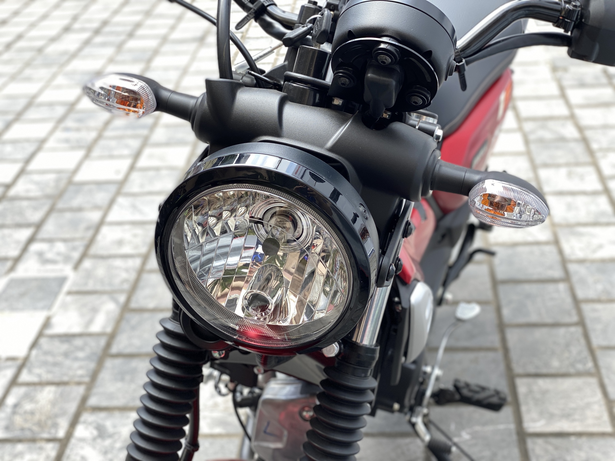 f2d448e9c6775ee45de2.jpg