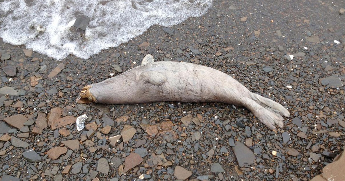 f2d692c23b219f54ead2.jpg