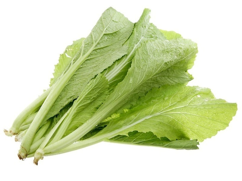 f2fe8bcdff0ad963fdfc.jpg