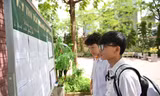 f372f3e2430dd13004a1.jpg