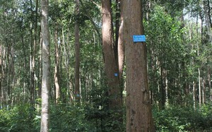 f3868d9de798865c4c75.jpg