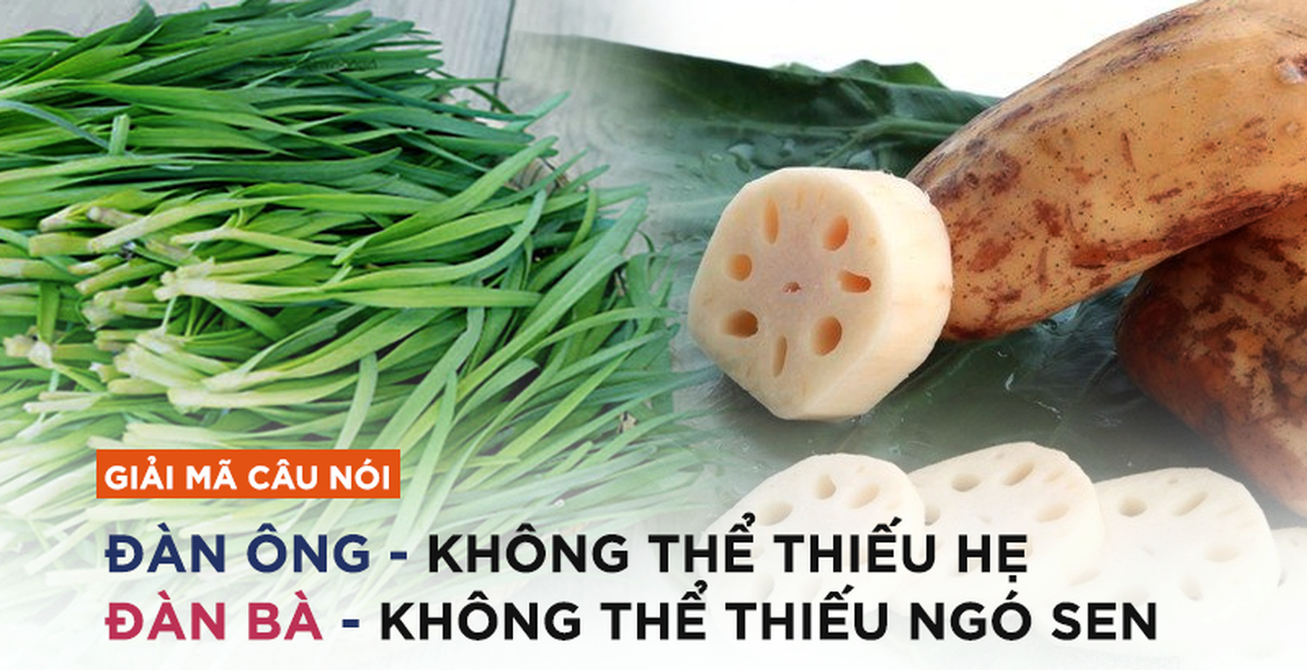 f38d0653755b59000600.png