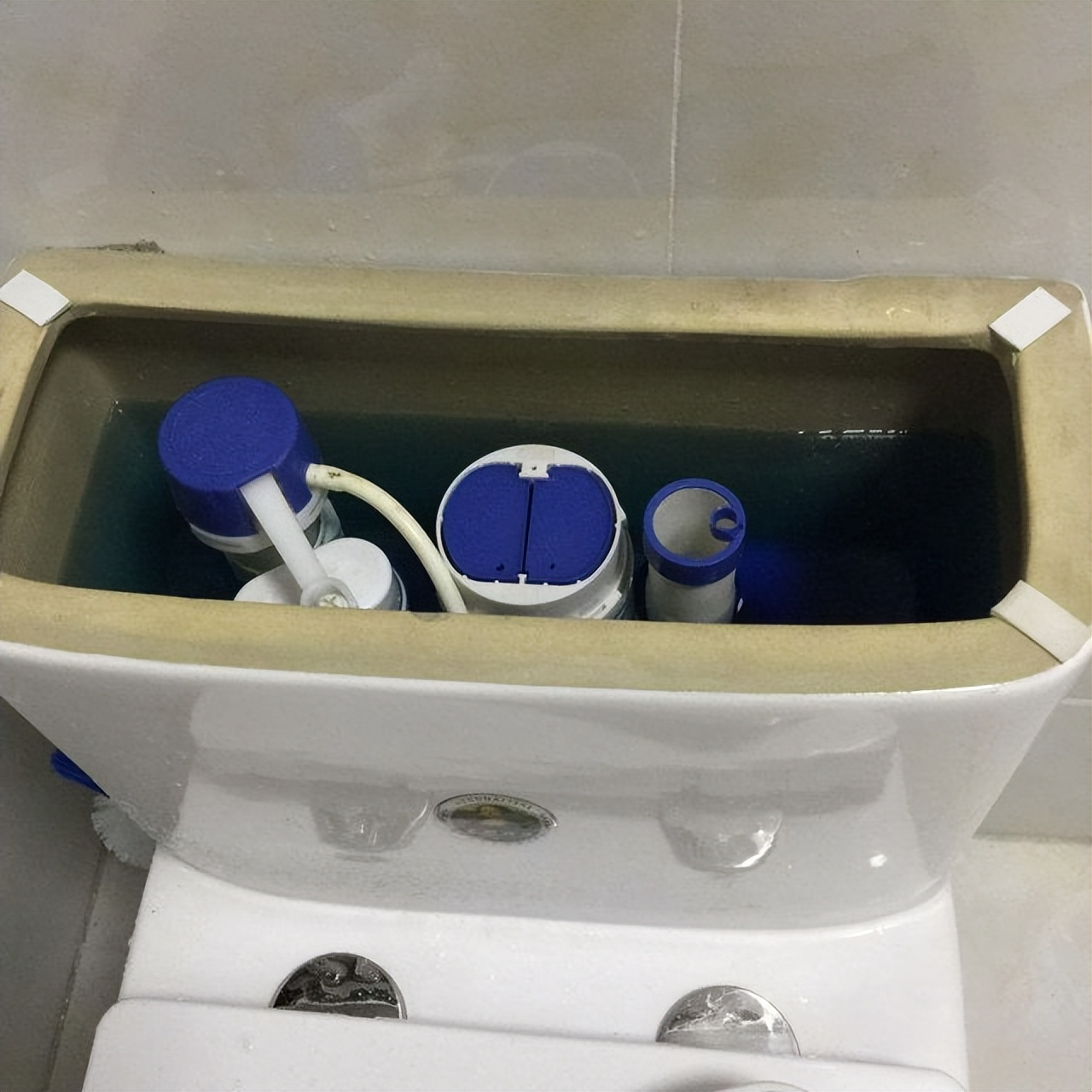f3c8a10a81c8968341f8.png
