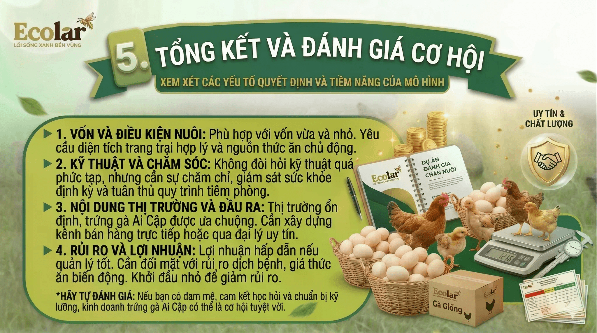 f3e8224f1433d1acef4c.png