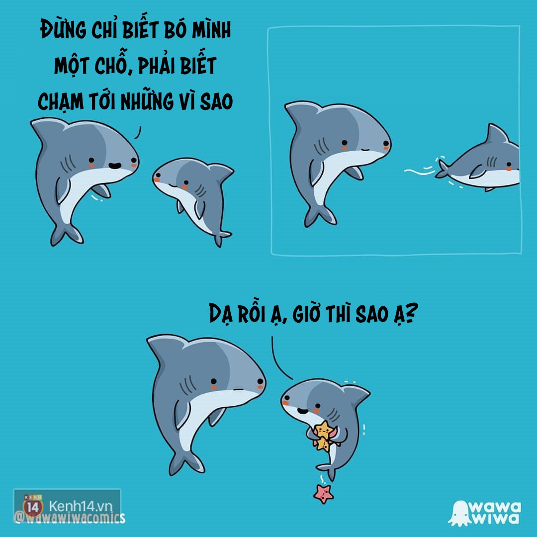 f40c0d001dbf498a09c1.jpg