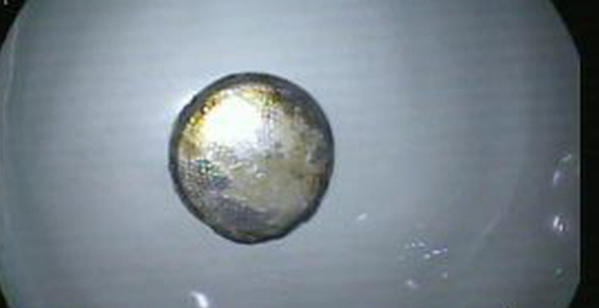 f41cf90e2bb883e8ad60.png