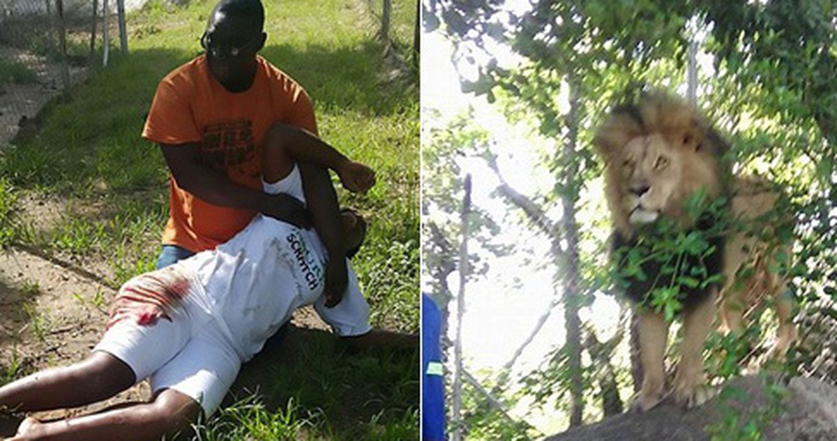 f4625c0a17e8e3ffd1c0.jpg