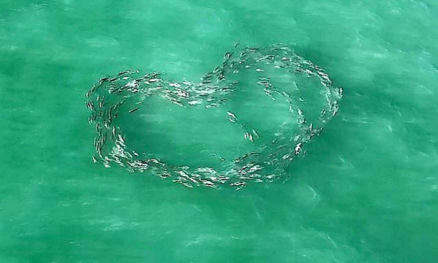 f480a17bc2ae9b0613a9.jpg