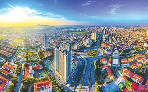 f481fc9a701edf0aaa55.jpg