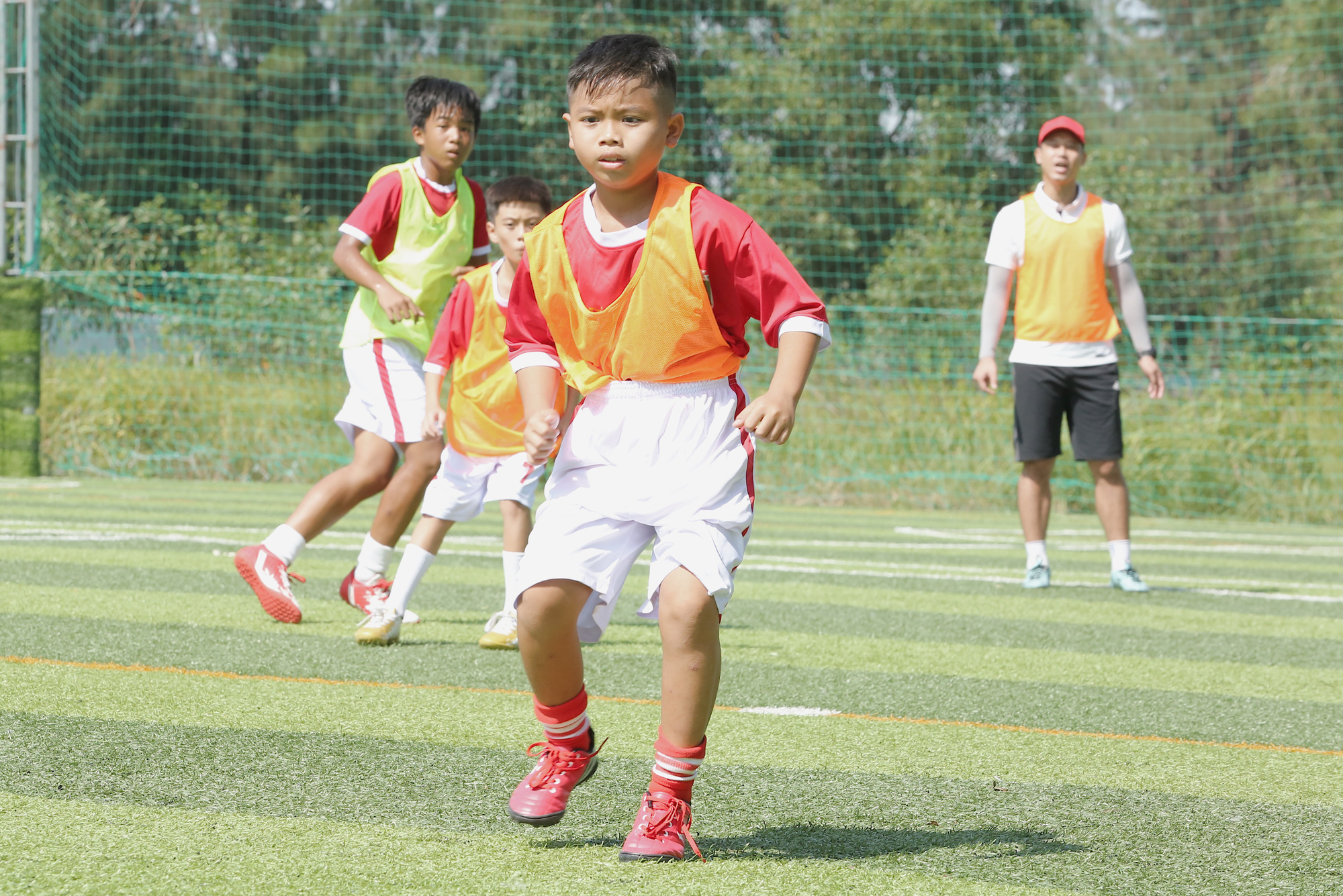 f4af4fdee292e60b6ae3.jpg