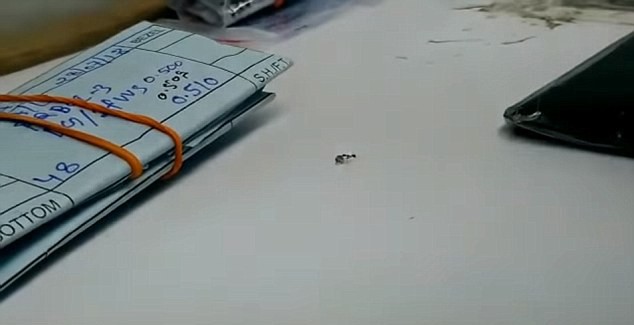 f4b3e4714b68c4ac77ca.jpg
