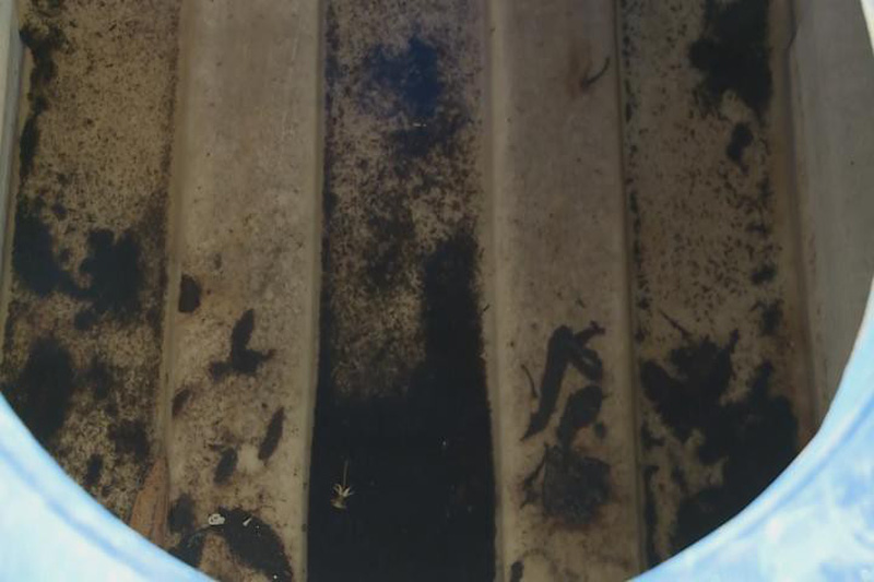 f4b56ac18b8d1c645047.jpg