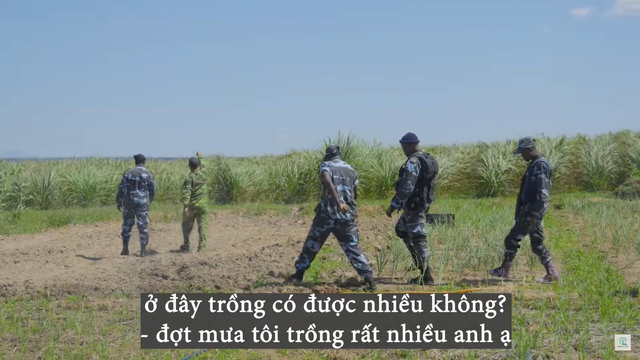 f4cda71801dd720d7289.png