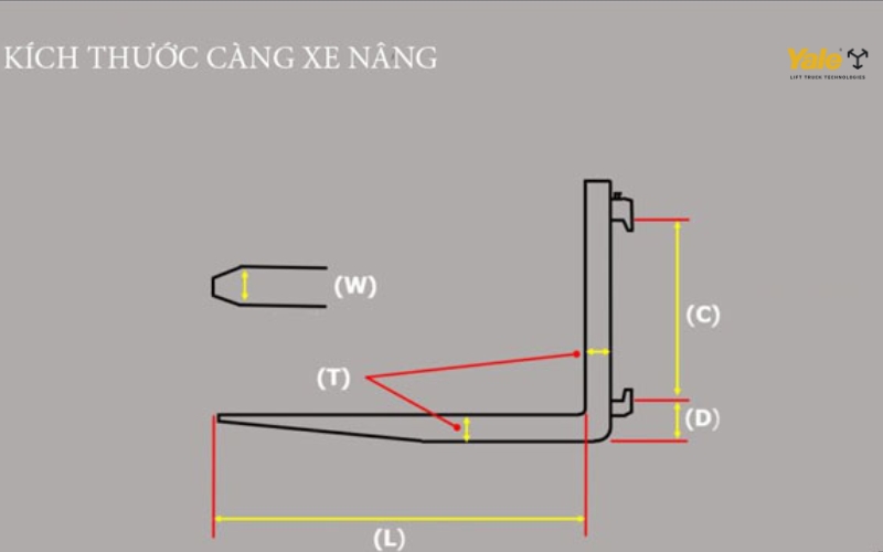 f508ccf221706dd21095.jpg