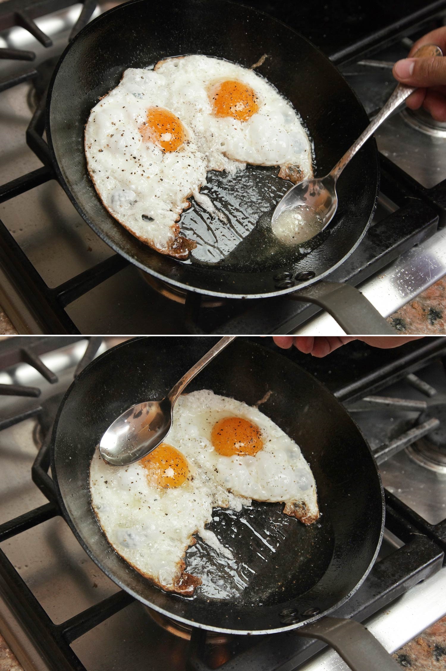 f5327337dd4057b58878.jpg