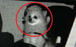 f5d235ae3ab481ec3545.png
