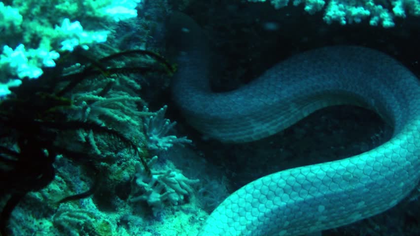 f5de214889589b5f9c88.jpg