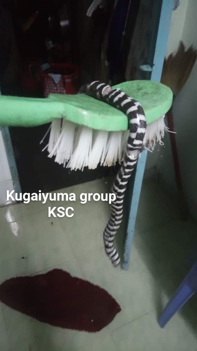 f5ec28a863aac56abe88.jpg