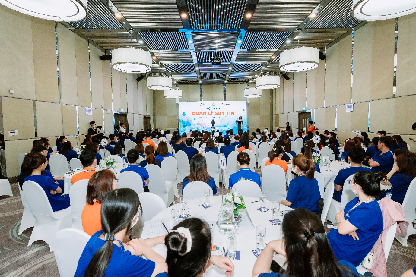 f60b995a1d78113dea72.jpg