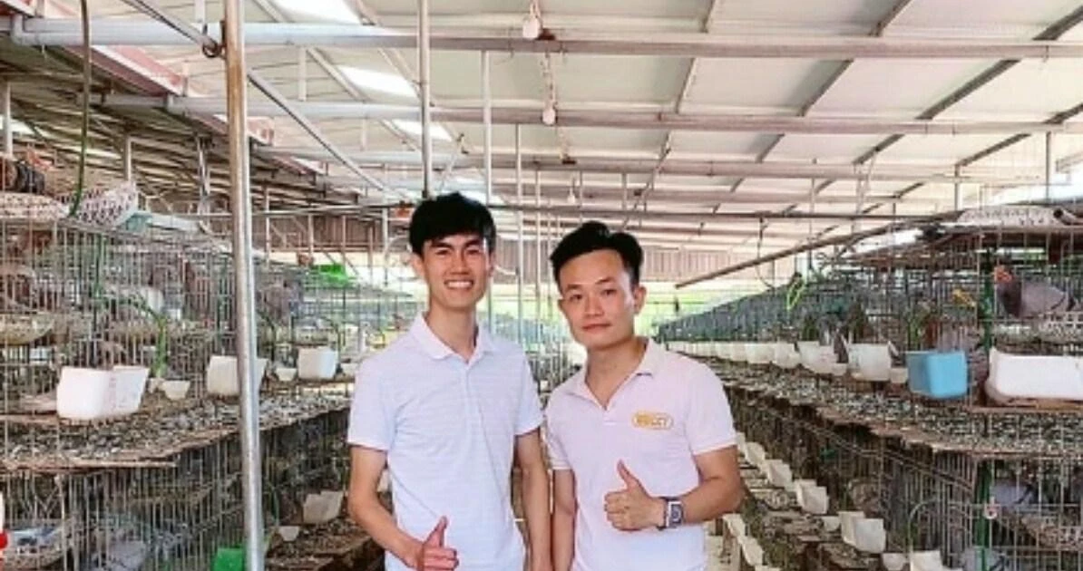 Chàng trai 9X Bắc Giang "đổi đời" nhờ nuôi bồ câu siêu đẻ, từng mất trắng vẫn không từ bỏ ️