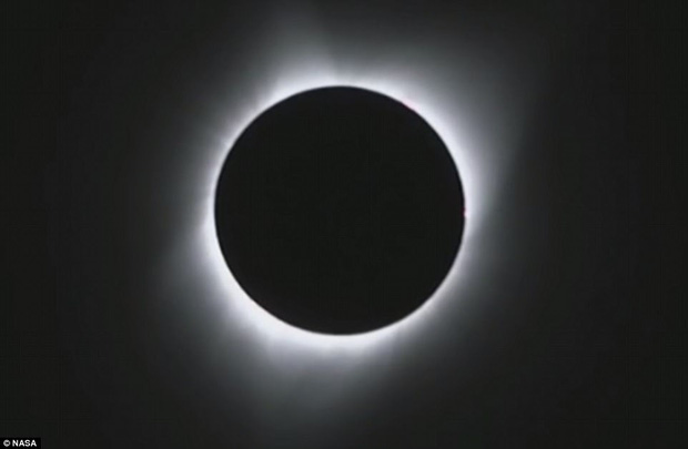 f65d544c5d8739654271.jpg