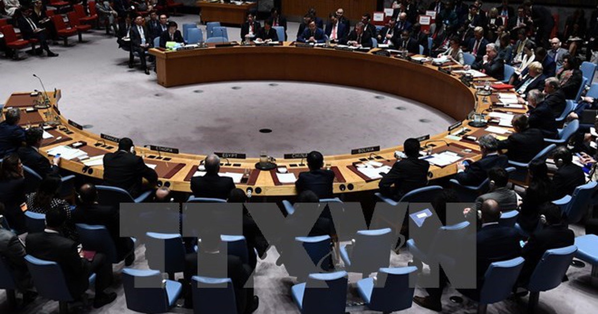 f6ccf6fb13d005fbf193.jpg