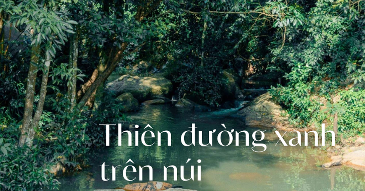 f6dd8c249a07abac0b05.png