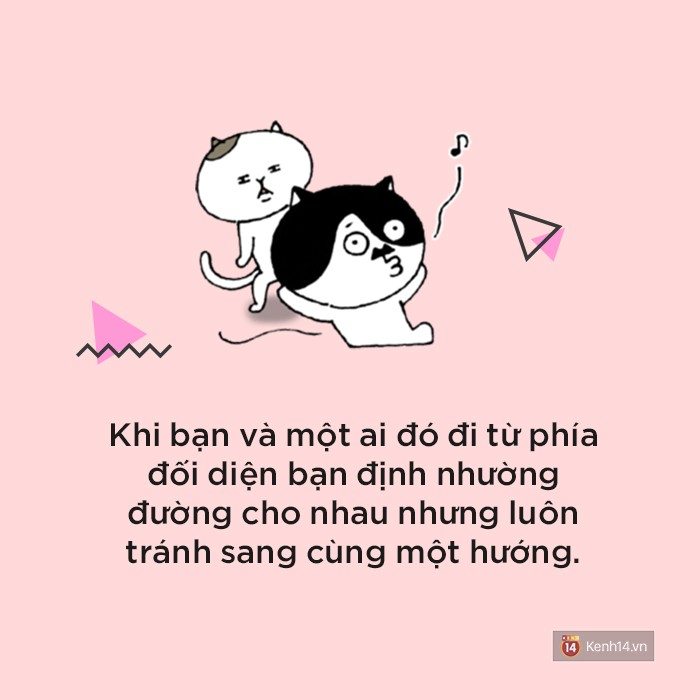 f6ee272c0d3a9f6ffb37.jpg