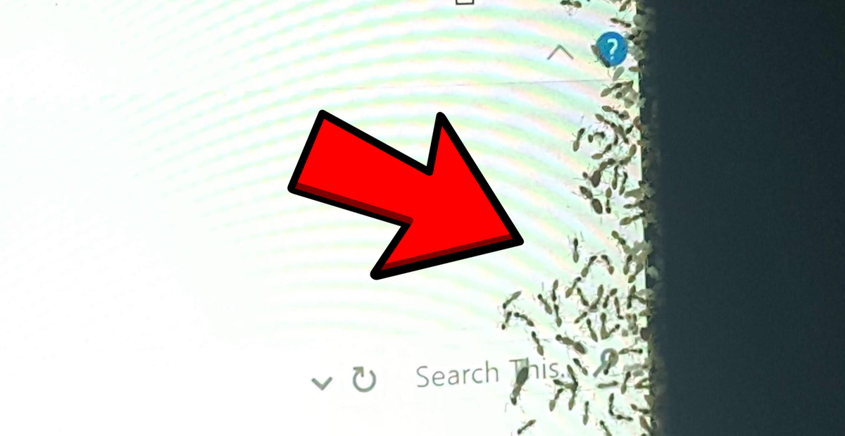 f6f996d2407c3ca2780f.png