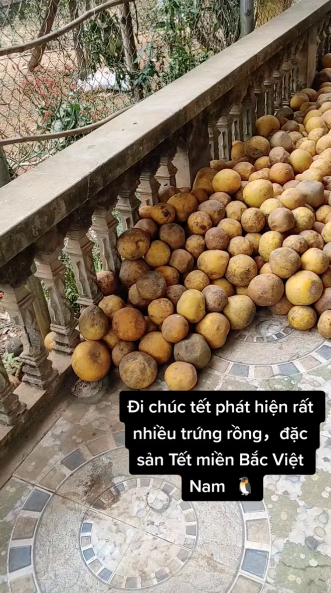f7031830b5fec48e0e9e.png