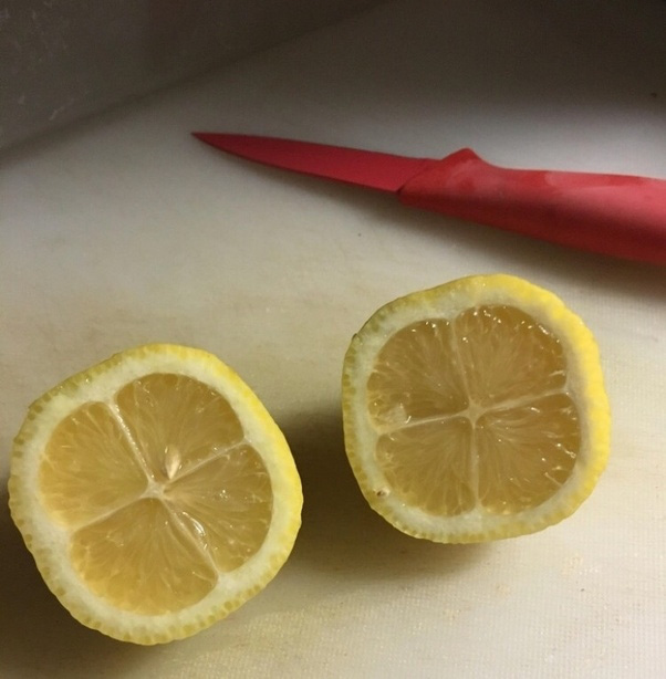 f70da2f1ae17c9a02a5e.jpg