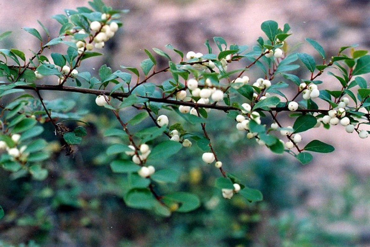 f73c7c3eb9ae8f5d4b5e.jpg