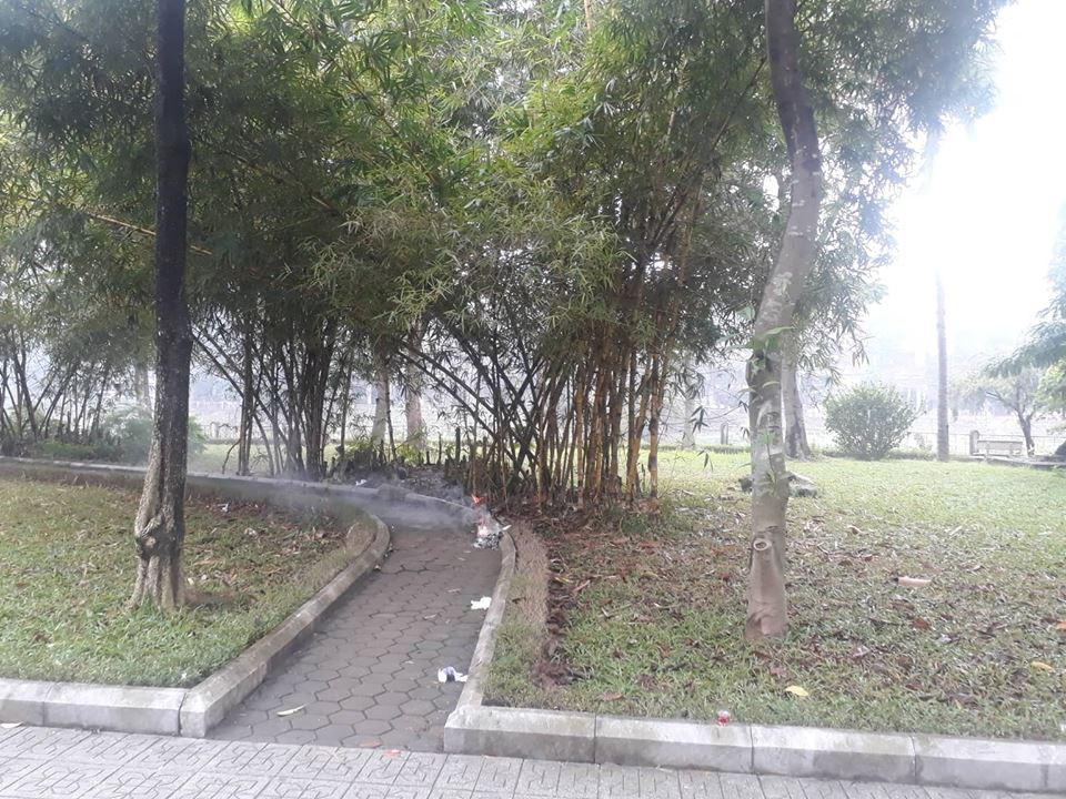 f75da76a725ee4073d54.jpg