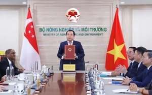 f774116d40938d3959de.jpg