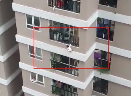 f7acf6bc0f7ae6025e61.png